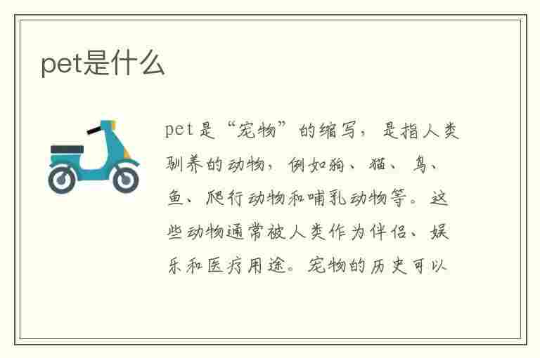 pet是什么(pp是什么材质)